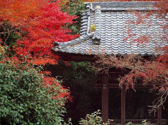 Guest House Hana Otsu Bagian luar foto